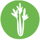 Céleri